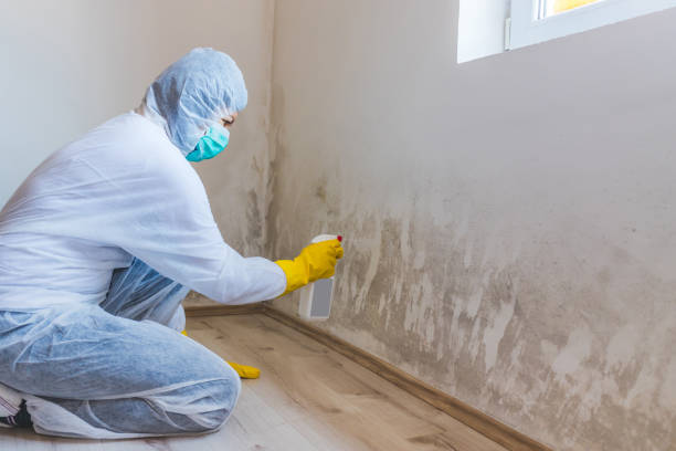 Bathroom Mold Removal assessment in Madison bathroom